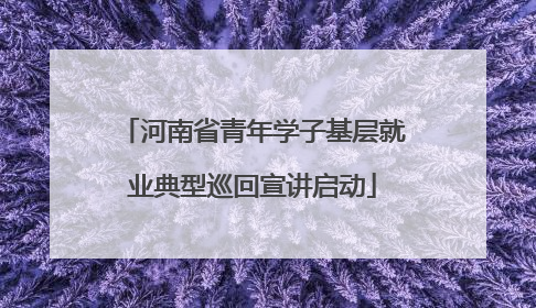 河南省青年学子基层就业典型巡回宣讲启动