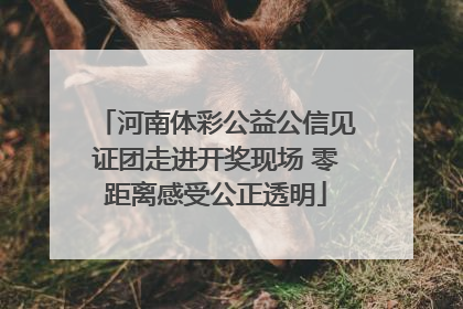 河南体彩公益公信见证团走进开奖现场 零距离感受公正透明
