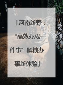 河南新野：“高效办成一件事”解锁办事新体验