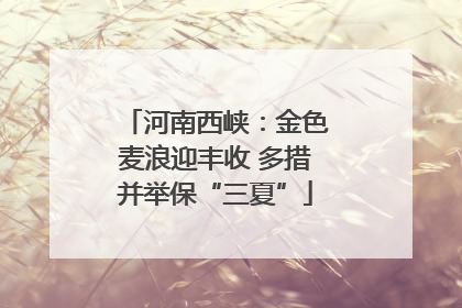 河南西峡：金色麦浪迎丰收 多措并举保“三夏”
