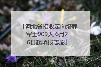 河北省招收定向培养军士909人 6月26日起填报志愿