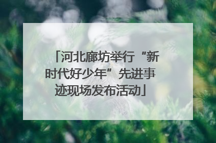 河北廊坊举行“新时代好少年”先进事迹现场发布活动