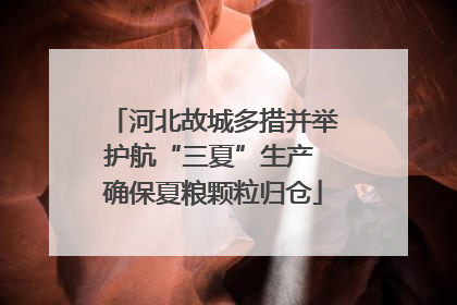 河北故城多措并举护航“三夏”生产 确保夏粮颗粒归仓