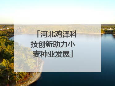 河北鸡泽科技创新助力小麦种业发展