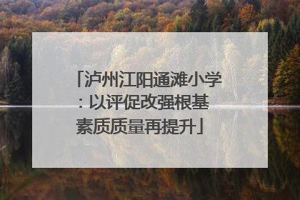 泸州江阳通滩小学：以评促改强根基 素质质量再提升