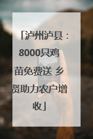 泸州泸县：8000只鸡苗免费送 乡贤助力农户增收