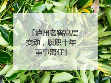 泸州老窖高层变动，履职十年董事离任