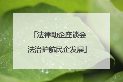 法律助企座谈会 法治护航民企发展