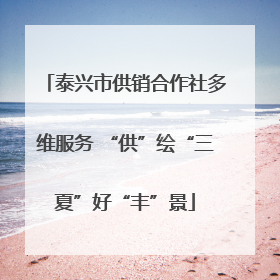 泰兴市供销合作社多维服务 “供”绘“三夏”好“丰”景