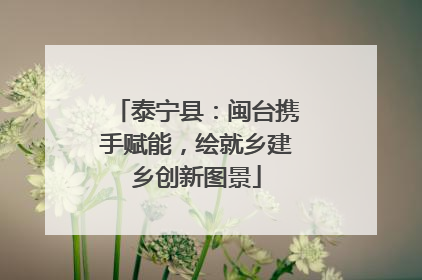 泰宁县：闽台携手赋能，绘就乡建乡创新图景