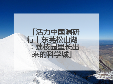 活力中国调研行丨东莞松山湖：荔枝园里长出来的科学城