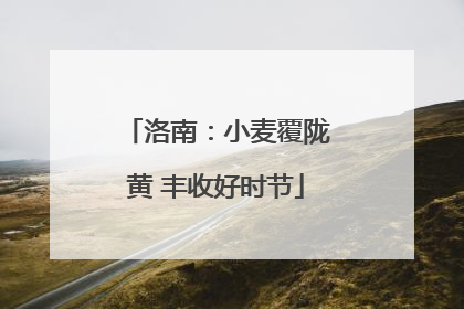 洛南：小麦覆陇黄 丰收好时节