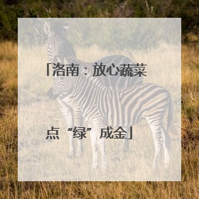 洛南：放心蔬菜点“绿”成金
