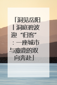 洞见岳阳丨洞庭碧波迎“归客”：一座城市与麋鹿的双向奔赴
