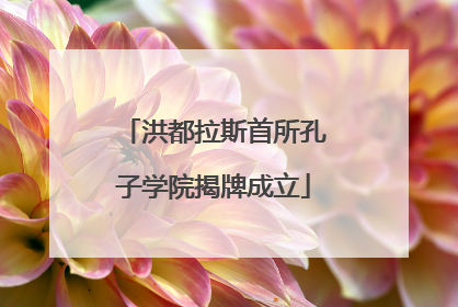 洪都拉斯首所孔子学院揭牌成立