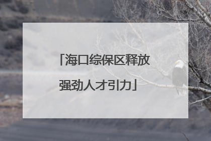 海口综保区释放强劲人才引力
