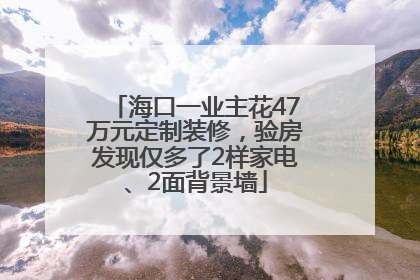 海口一业主花47万元定制装修，验房发现仅多了2样家电、2面背景墙