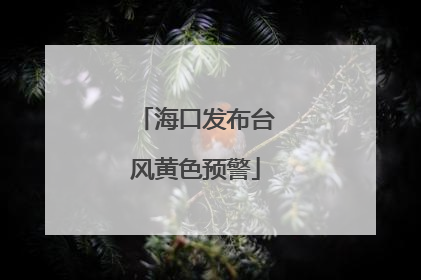 海口发布台风黄色预警