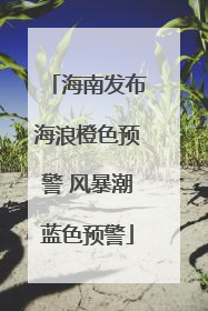 海南发布海浪橙色预警 风暴潮蓝色预警