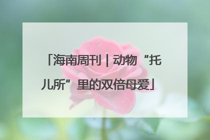 海南周刊｜动物“托儿所”里的双倍母爱