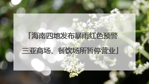 海南四地发布暴雨红色预警 三亚商场、餐饮场所暂停营业