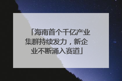 海南首个千亿产业集群持续发力，新企业不断涌入赛道