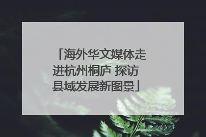 海外华文媒体走进杭州桐庐 探访县域发展新图景