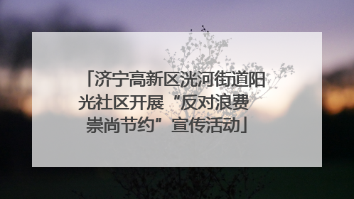 济宁高新区洸河街道阳光社区开展“反对浪费 崇尚节约”宣传活动