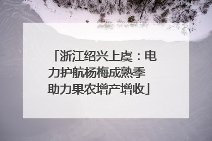 浙江绍兴上虞：电力护航杨梅成熟季 助力果农增产增收