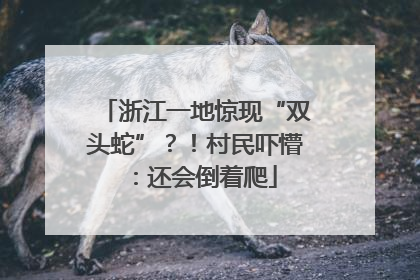 浙江一地惊现“双头蛇”？！村民吓懵：还会倒着爬