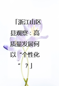 浙江山区县观察：高质量发展何以“个性化”？
