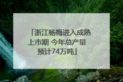 浙江杨梅进入成熟上市期 今年总产量预计74万吨