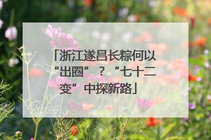 浙江遂昌长粽何以“出圈”？“七十二变”中探新路
