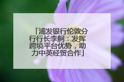 浦发银行伦敦分行行长李舸：发挥跨境平台优势，助力中英经贸合作