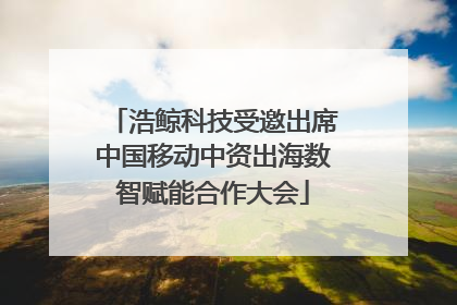 浩鲸科技受邀出席中国移动中资出海数智赋能合作大会