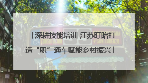 深耕技能培训 江苏盱眙打造“职”通车赋能乡村振兴