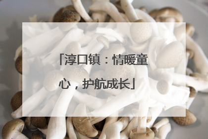 淳口镇：情暖童心，护航成长