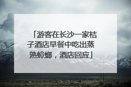 游客在长沙一家桔子酒店早餐中吃出蒸熟蟑螂，酒店回应