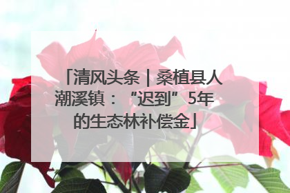 清风头条｜桑植县人潮溪镇：“迟到”5年的生态林补偿金