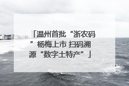 温州首批“浙农码”杨梅上市 扫码溯源“数字土特产”