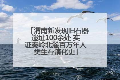 渭南新发现旧石器遗址100余处 实证秦岭北麓百万年人类生存演化史