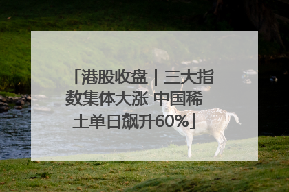 港股收盘｜三大指数集体大涨 中国稀土单日飙升60%