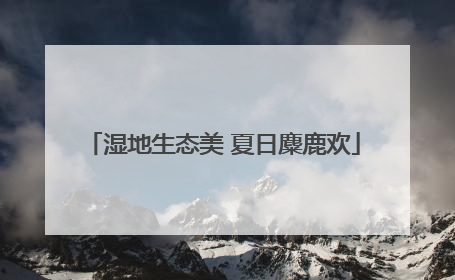 湿地生态美 夏日麋鹿欢