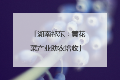 湖南祁东：黄花菜产业助农增收