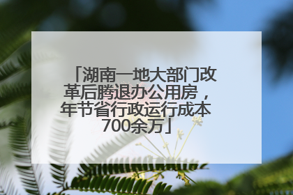 湖南一地大部门改革后腾退办公用房，年节省行政运行成本700余万