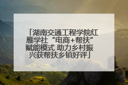 湖南交通工程学院红雁学社“电商+帮扶”赋能模式 助力乡村振兴获帮扶乡镇好评