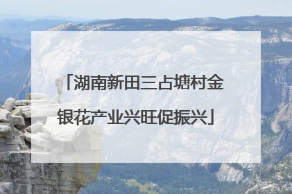 湖南新田三占塘村金银花产业兴旺促振兴