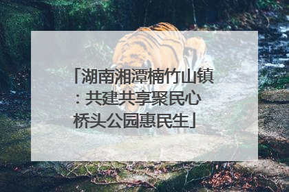 湖南湘潭楠竹山镇：共建共享聚民心 桥头公园惠民生