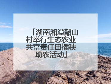 湖南湘潭韶山村举行生态农业共富责任田插秧助农活动