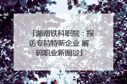 湖南铁科职院：探访专精特新企业 解码职业新图景